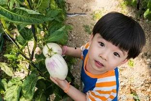 娛樂吃瓜醬小名,揭秘娛樂圈幕后那些事兒