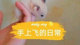 吃瓜娛樂背景板,揭秘娛樂圈幕后那些事兒