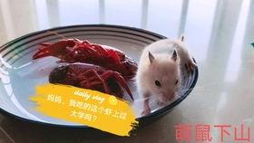吃瓜娛樂背景板,揭秘娛樂圈幕后那些事兒