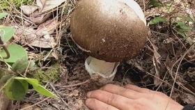 娛樂吃瓜醬菌,揭秘娛樂圈那些不為人知的幕后故事