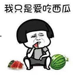 娛樂瓜都是在哪里吃的啊,明星們的“娛樂瓜”聚集地大揭秘