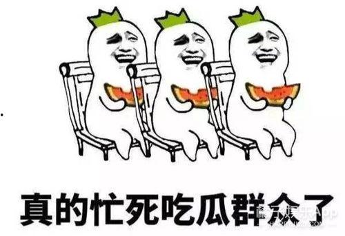 娛樂瓜都是在哪里吃的啊,明星們的“娛樂瓜”聚集地大揭秘
