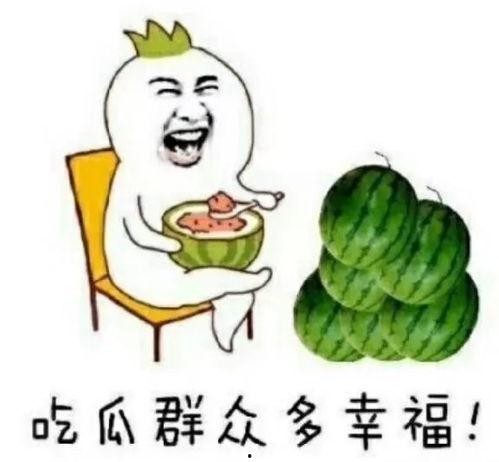 娛樂瓜都是在哪里吃的啊,明星們的“娛樂瓜”聚集地大揭秘
