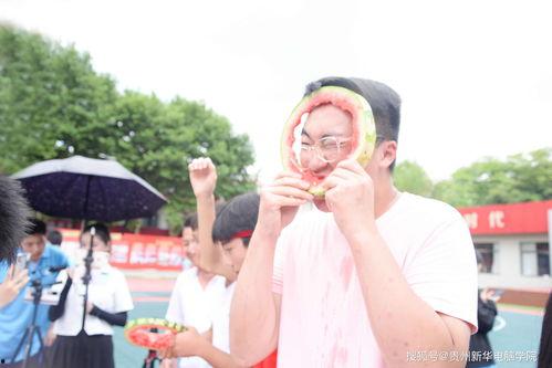 吃瓜娛樂學(xué)校,揭秘娛樂圈背后的秘密與趣味