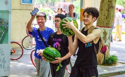 吃瓜娛樂學(xué)校,揭秘娛樂圈背后的秘密與趣味