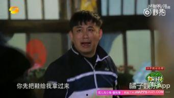 娛樂君吃瓜黃磊是誰呀知乎,黃磊與知乎熱門話題的幕后故事