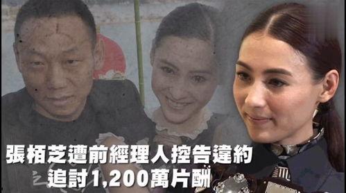 吃瓜觀娛樂,吃瓜群眾視角下的明星八卦