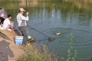 娛樂吃瓜釣魚視頻下載安裝,娛樂吃瓜釣魚視頻，輕松安裝體驗新樂趣