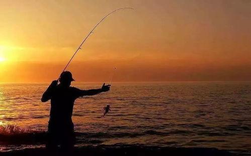 娛樂吃瓜釣魚視頻下載安裝,娛樂吃瓜釣魚視頻，輕松安裝體驗新樂趣
