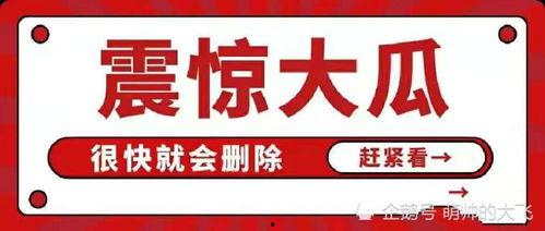 娛樂吃瓜八卦的網(wǎng)名大全,網(wǎng)名大全中的吃瓜八卦風云錄
