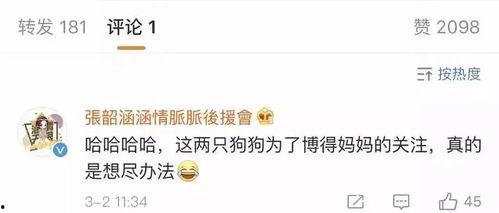 娛樂圈吃瓜食品,揭秘明星們的“吃瓜”生活