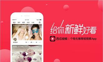 娛樂吃瓜醬視頻邊框,揭秘?zé)衢T視頻邊框背后的故事