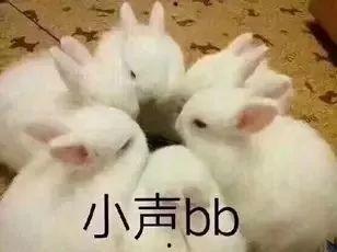 娛樂吃瓜兔,揭秘娛樂圈那些不為人知的幕后故事