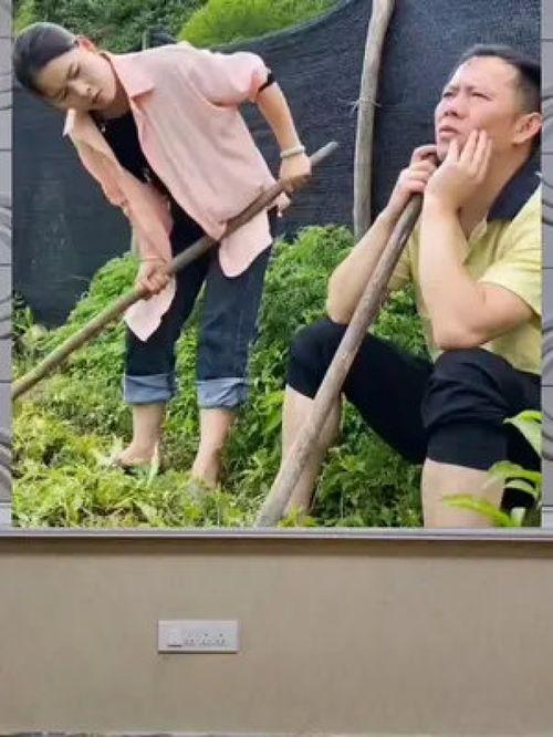 娛樂八卦吃瓜群眾的,揭秘吃瓜群眾的八卦盛宴