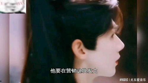 娛樂吃瓜醬19,揭秘娛樂圈背后的秘密與八卦