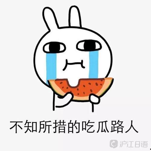 逗爾娛樂吃瓜看點,揭秘娛樂圈最新吃瓜看點，帶你領(lǐng)略明星幕后故事