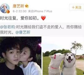 娛樂吃瓜醬情侶日常,娛樂吃瓜醬情侶的甜蜜瞬間