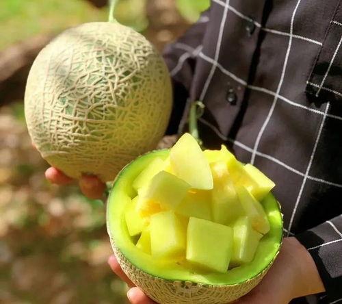 娛樂圈什么真瓜可以吃,那些你絕對(duì)不能錯(cuò)過的真實(shí)瓜料！