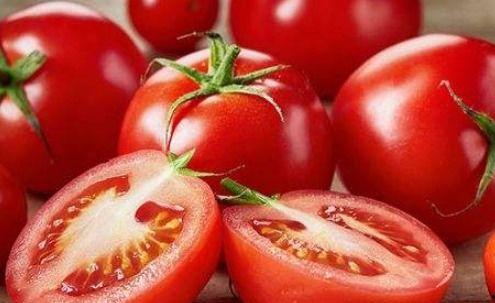 娛樂吃瓜醬西紅柿,西紅柿的瓜界傳奇