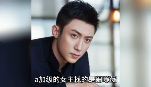 在娛樂圈吃瓜八卦的小說,幕后風云，瓜田亂舞