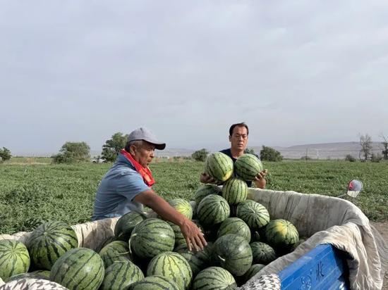 吃瓜娛樂園,娛樂圈幕后故事大公開