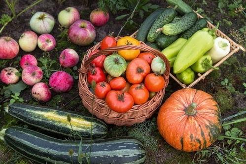 吃瓜娛樂園,娛樂圈幕后故事大公開