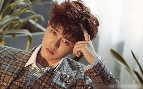 娛樂(lè)吃瓜蜀黍任嘉倫視頻,娛樂(lè)圈幕后故事大揭秘！