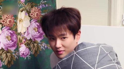 吃瓜合集娛樂圈范丞丞,娛樂圈吃瓜合集，揭秘明星背后的故事