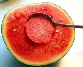 娛樂吃瓜醬毛毯,揭秘娛樂圈的溫暖“秘密”