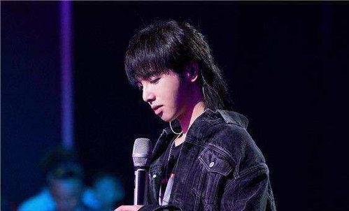 娛樂吃瓜華晨宇是誰,娛樂吃瓜界的風(fēng)云人物