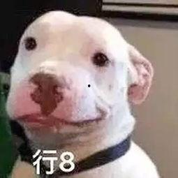 微信公眾號吃瓜娛樂圈,揭秘明星幕后故事