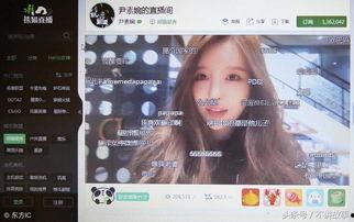 娛樂吃瓜最新事件直播回放,揭秘幕后真相，吃瓜群眾齊圍觀