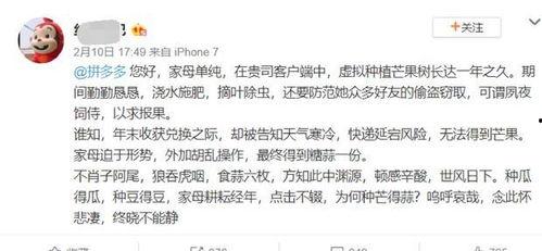 娛樂吃瓜醬文言文,古風(fēng)趣味談