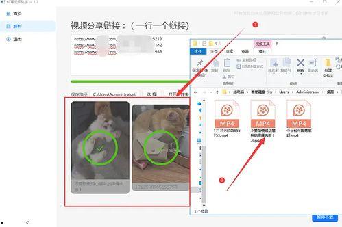 吃瓜娛樂(lè)素材視頻無(wú)水印
