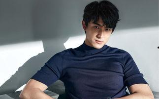 娛樂圈吃瓜爆料林更新,娛樂圈爆料背后的真相與爭議