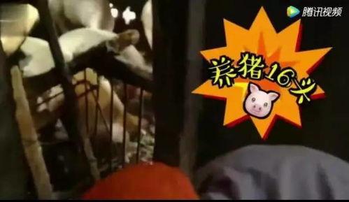 娛樂吃瓜醬變老特效,娛樂吃瓜醬變老特效，見證時(shí)光流轉(zhuǎn)的魔力